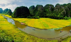 Hanoi - Halong - Ninh Binh - Water Puppet show - Buffet dinner (5ds 4ns Package)