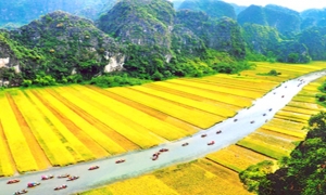 Hanoi - Halong bay - Sapa - City tour (7ds 6ns Package)