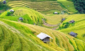 Sapa Medium Trekking 04 Nights 03 Days (By train)