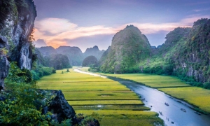 Hanoi - Halong - Ninh Binh - Water Puppet show - Buffet dinner (5ds 4ns Package)