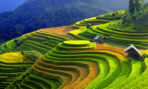Sapa Medium Trekking 04 Nights 03 Days (By train)